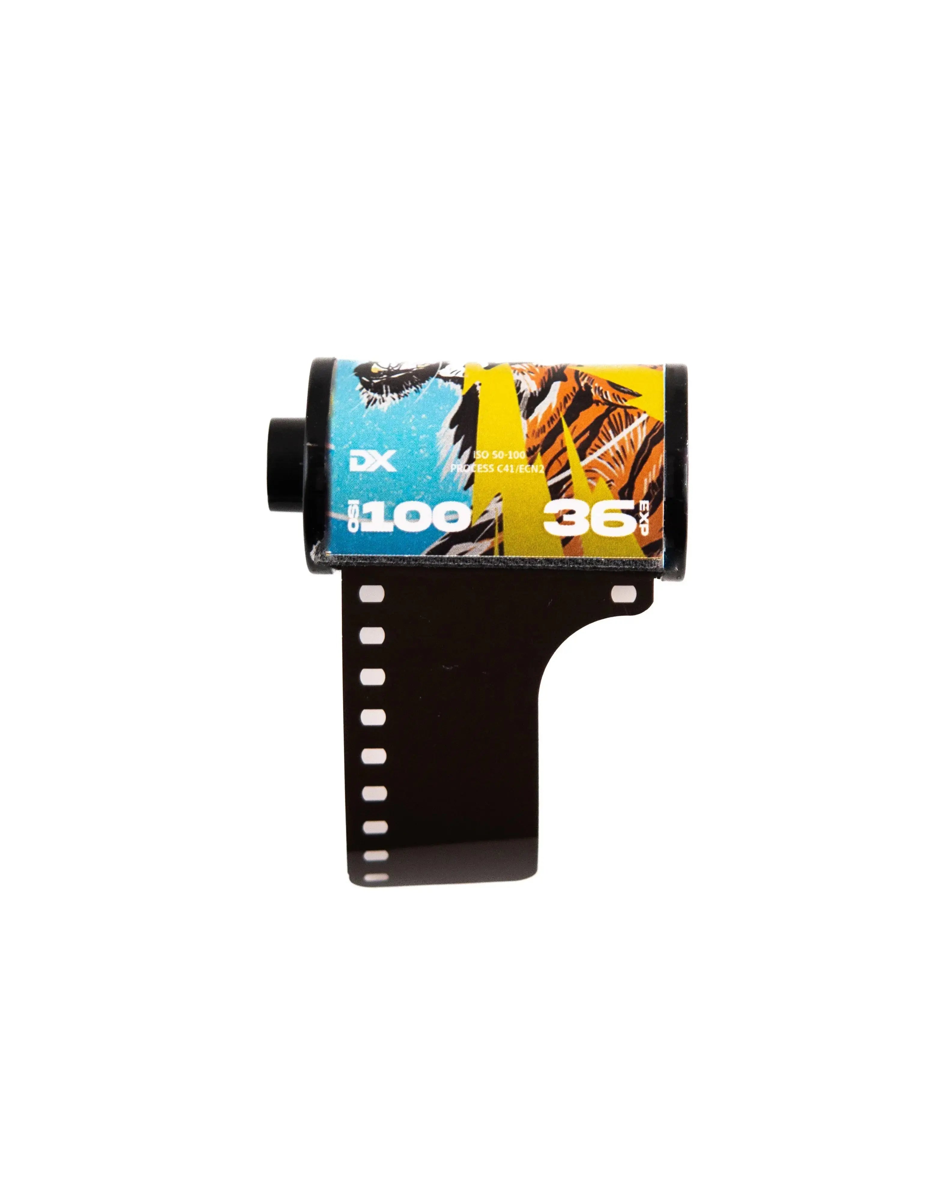 Film portrait Softone Cinematic 100 ISO