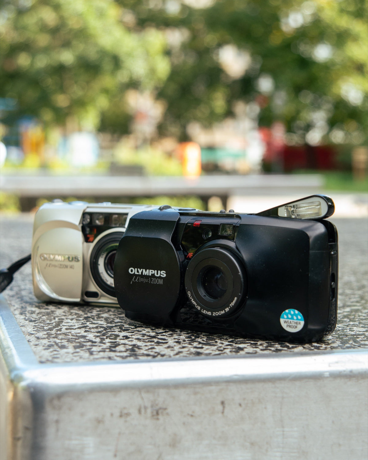 Selection of compact film cameras on an outdoor table