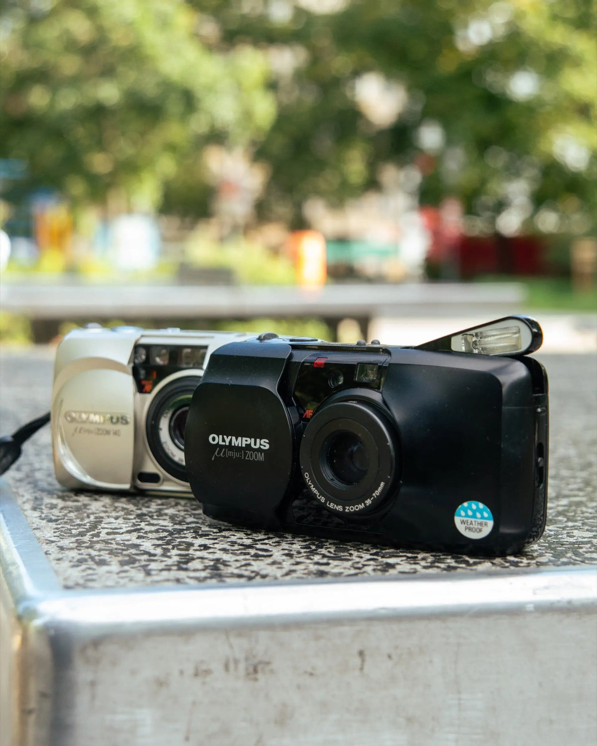 Selection of compact film cameras on an outdoor table