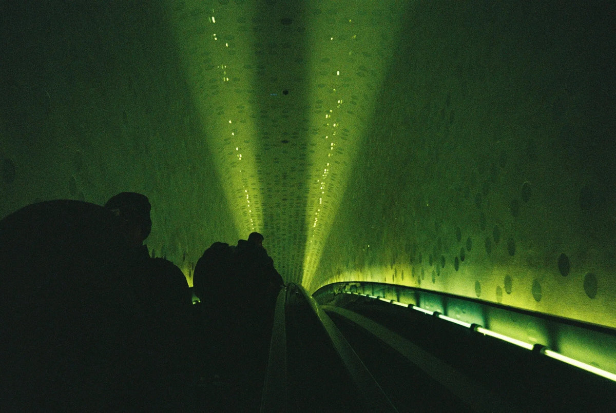 Photograph by Hazal Karadag: 2023 hamburg.JPG