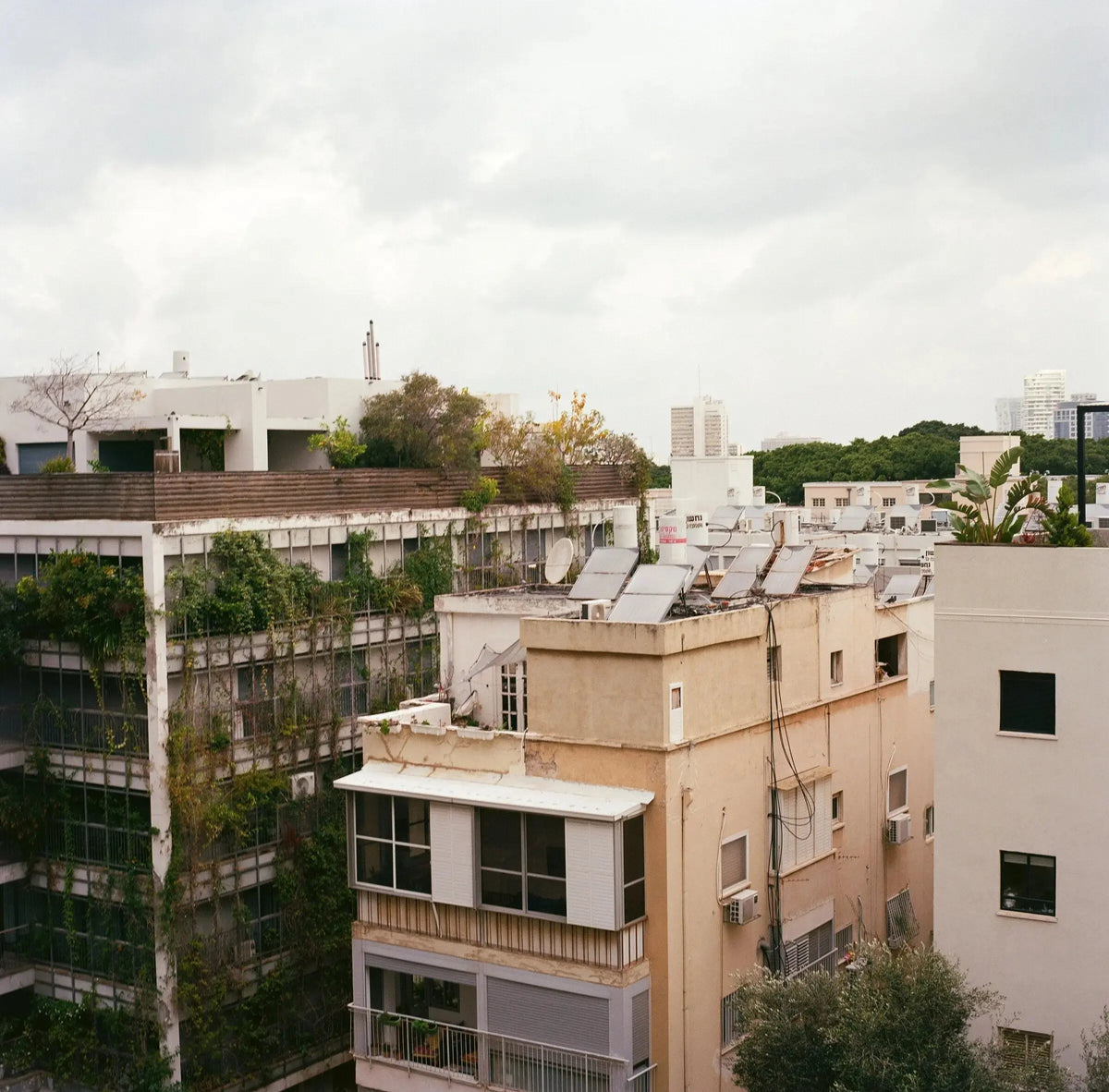 Photograph by Philipp Schaefer: 56315-005631510010-LLLg.jpg