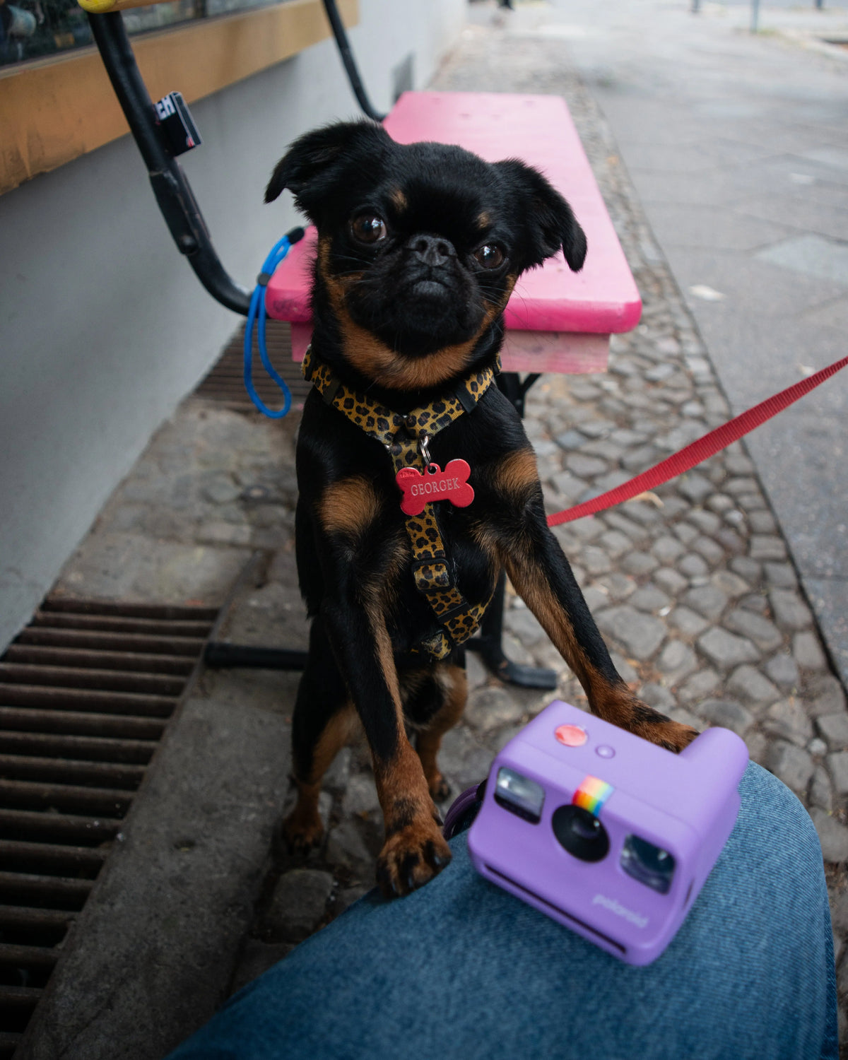Taking instant photos with Polaroid Go