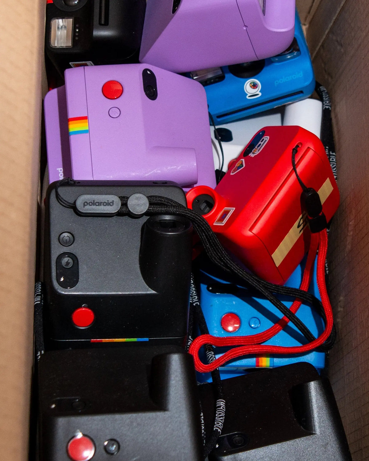 Several compact Polaroid Go cameras in different colours
