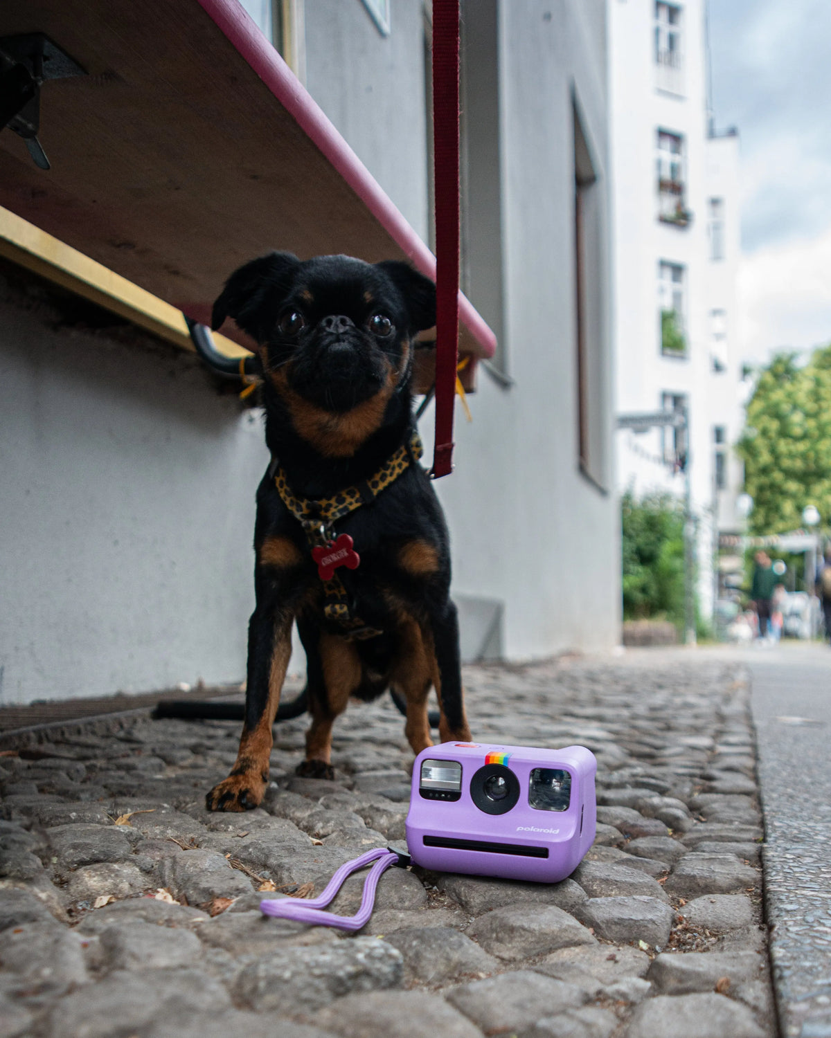 Polaroid photographer outdoors in Berlin