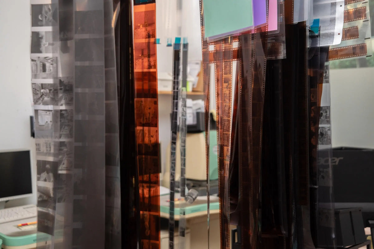 Developed negative strips hanging in the film laboratory