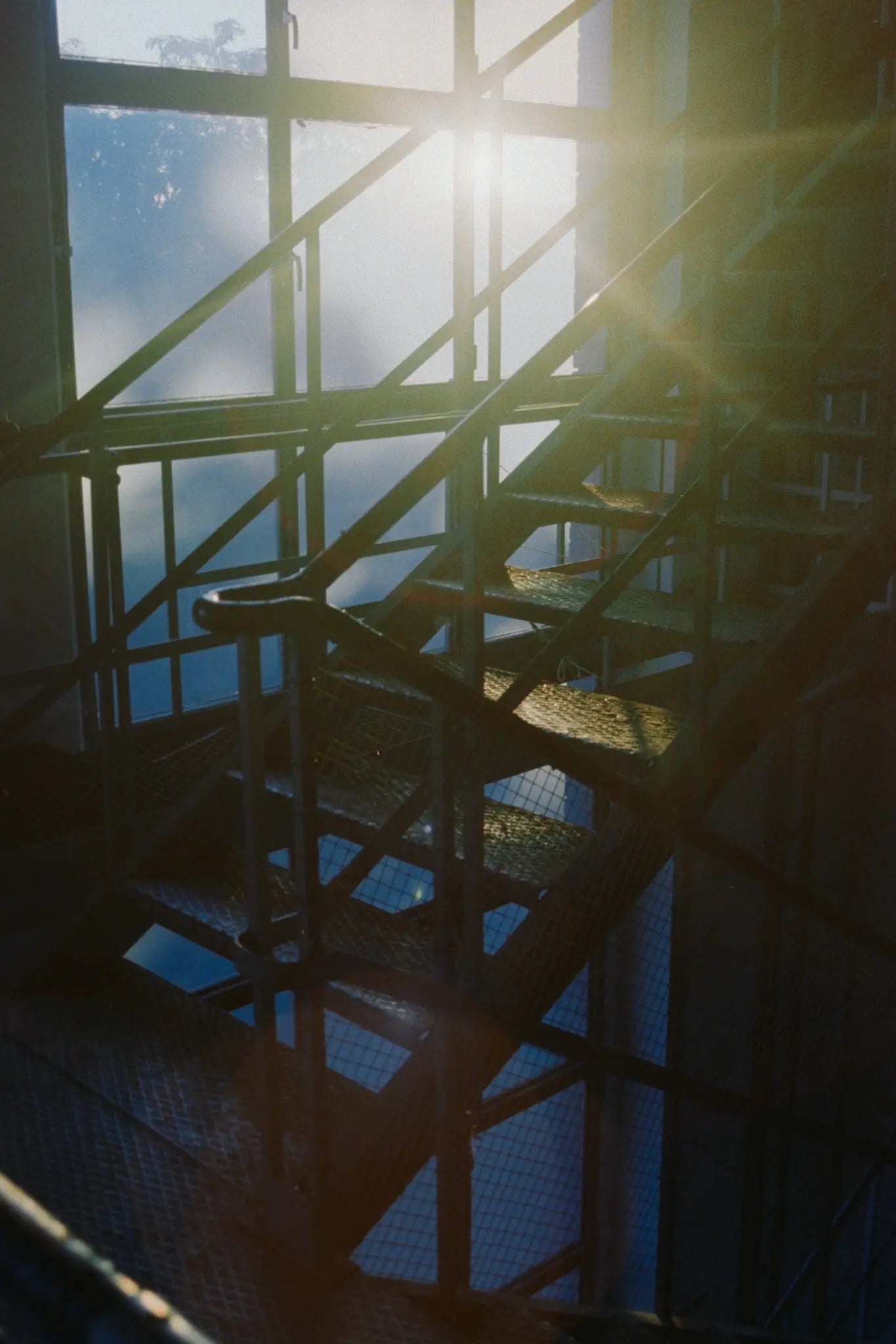 Sunlit analogue photograph selected for the Film for Summer collection