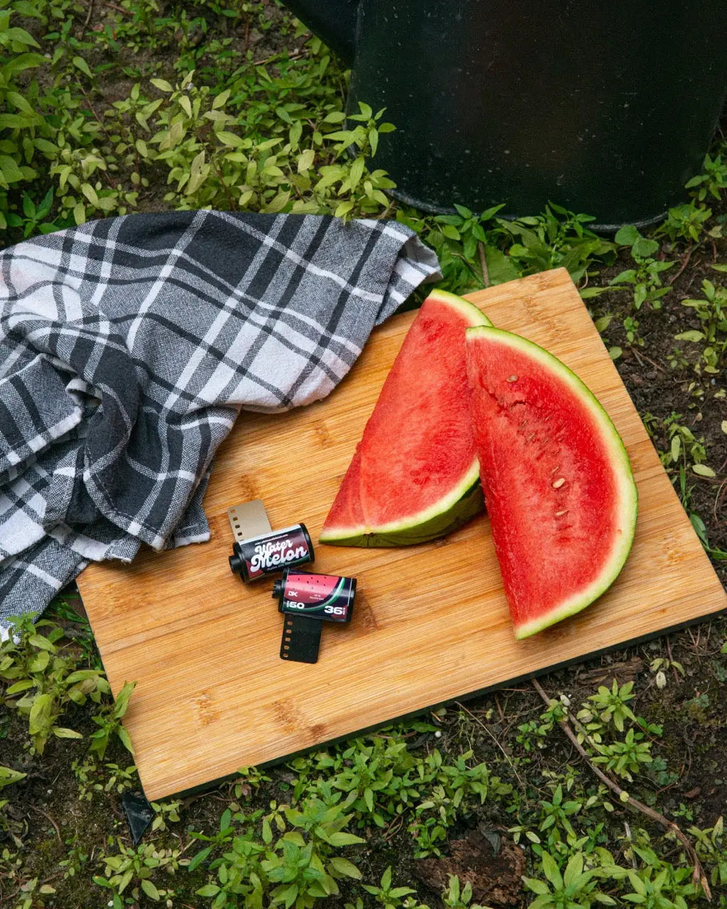 ECN-2 Water Melon 50 ISO – 135/36 Filmrolle – 35-mm-Filmrolle, Galerieansicht 4 von 8