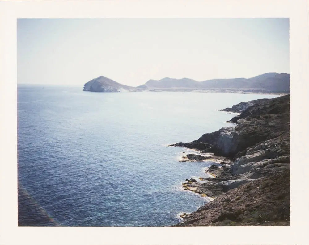 Polaroid 330 Automatic – Vintage Folding Packfilm Camera – analogue camera gallery view 8 of 9
