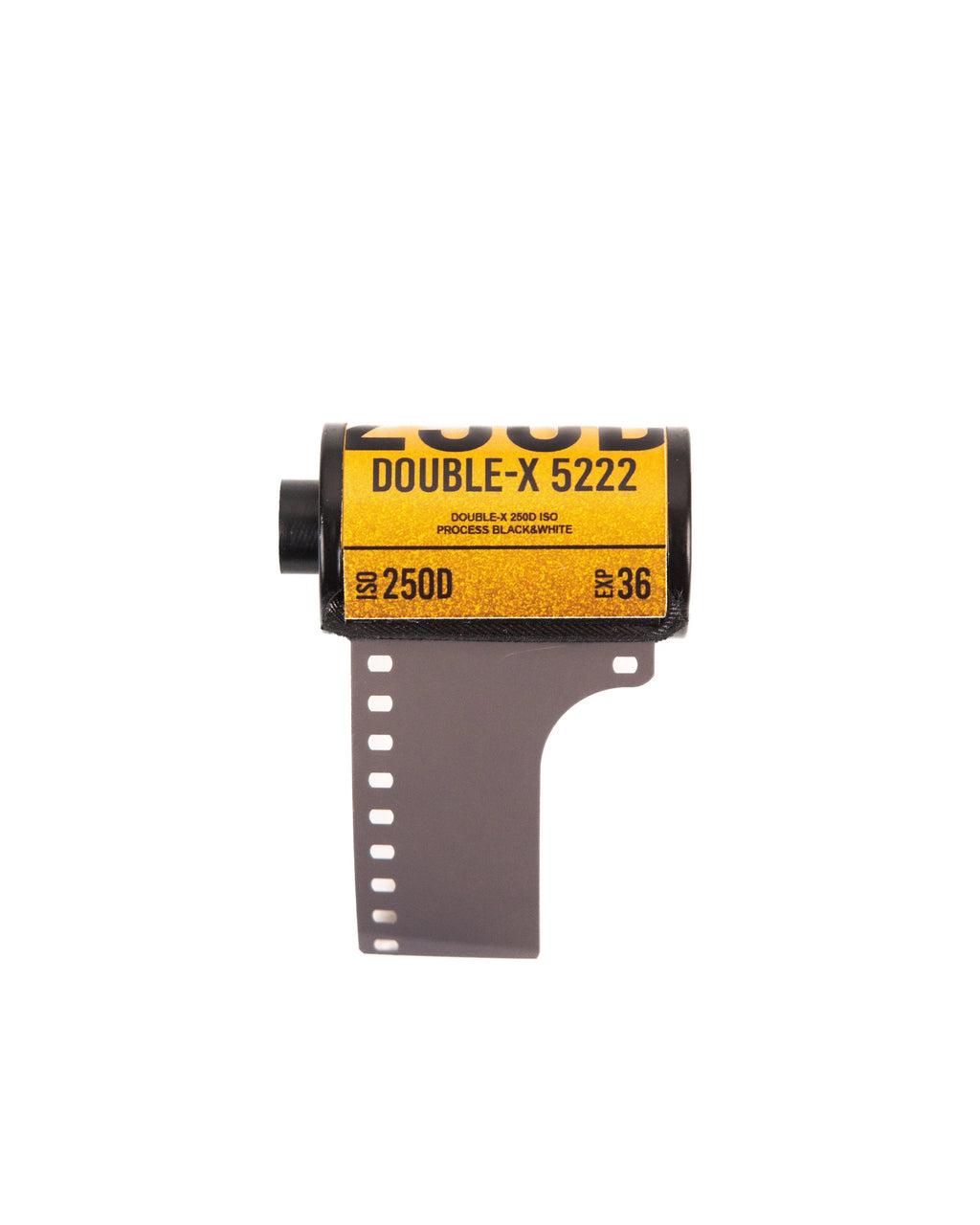 BW / Double-X 5222 250D - 135/36 - Photo Studio Berlin