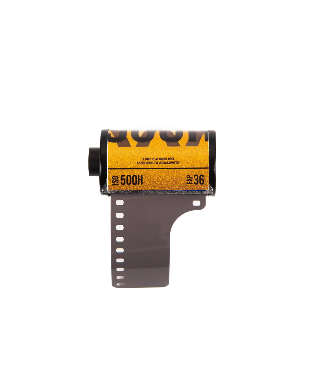BW / Triple-X 500H - 135/36 - Photo Studio Berlin