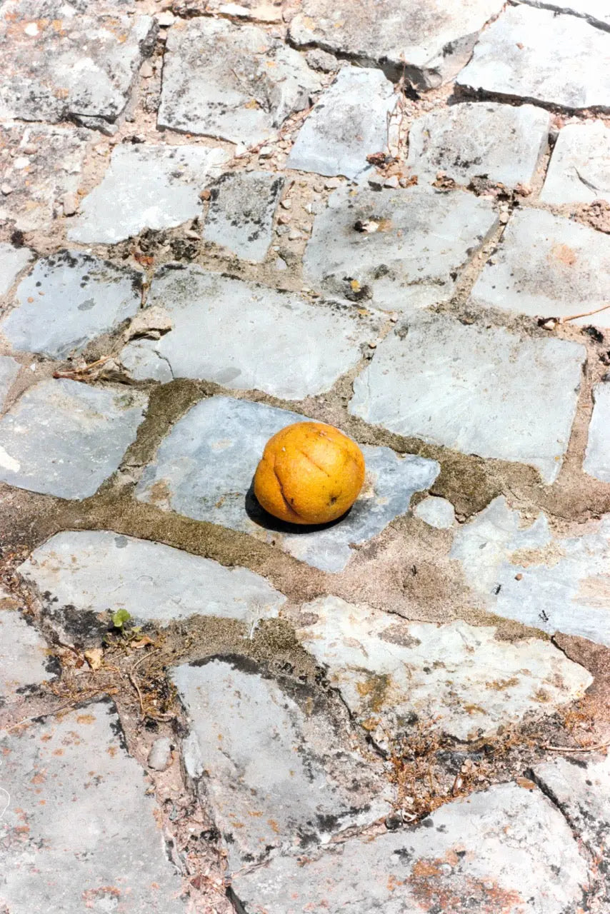 ECN2/C41 – Berlin Photo Studio 250D – 135/36 Daylight Film - Photo Studio Berlin