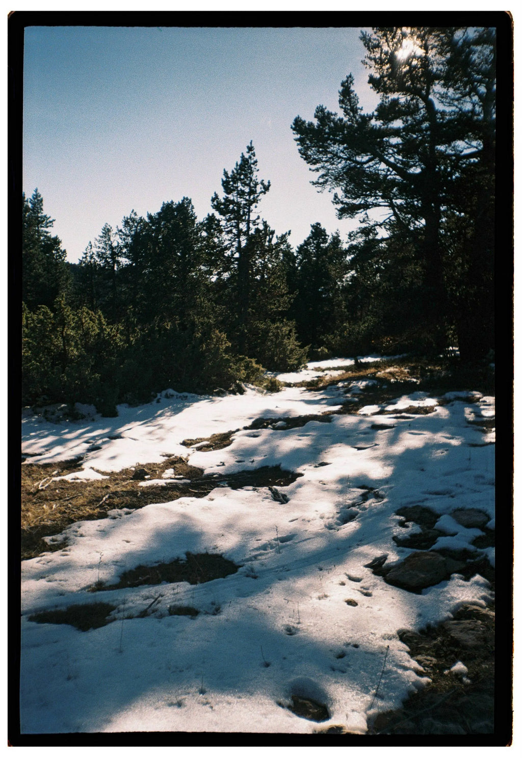 Olympus Trip MD3 – analogico galleria fotografica vista 2 di 5