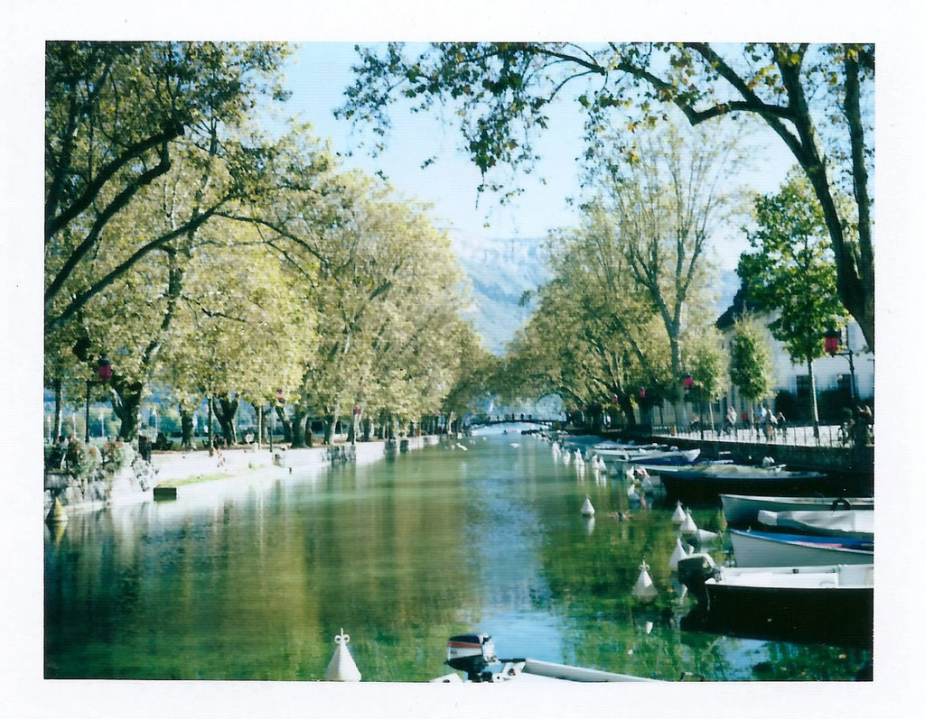 Polaroid 340 Automatic – Vintage Folding Packfilm Camera – analogue camera gallery view 6 of 9