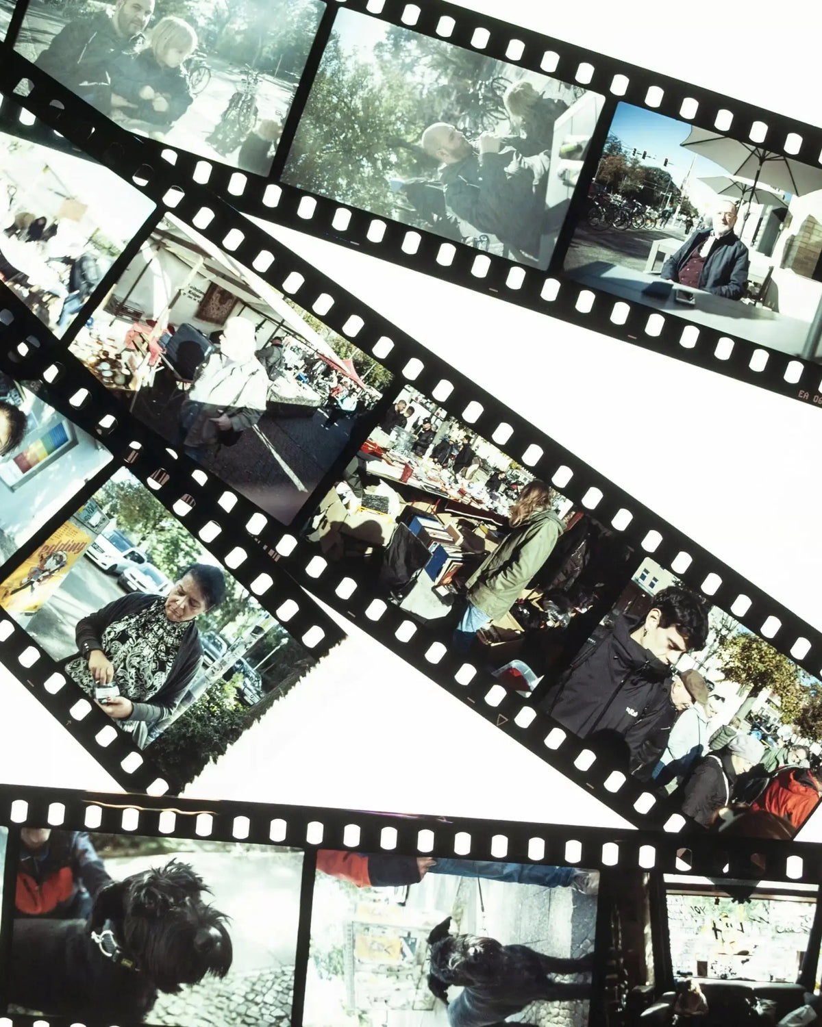 Film Development Lab E6 Slide Film Development – Professional Transparency Lab – Photo ...