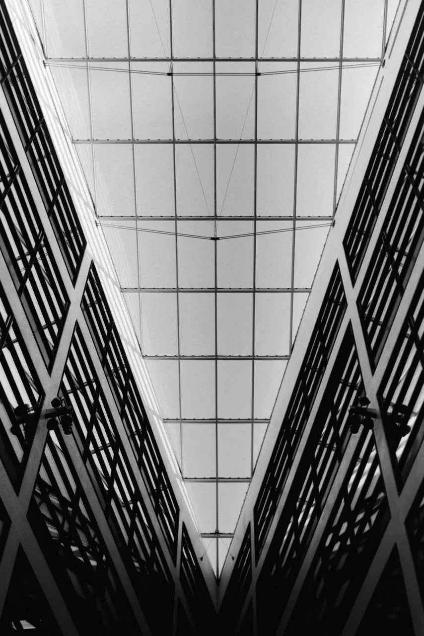 Softgrain 100 – Black & White Film 135/36 - Photo Studio Berlin