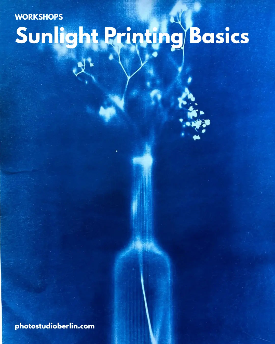 Cyanotype Workshop Berlin – Sunlight Printing Basics Photo Studio Berlin