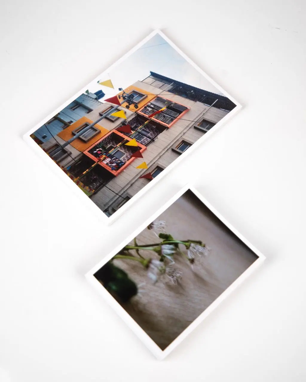 Photo Printing — Print Your Photos Online & In-Store Photo Studio Berlin