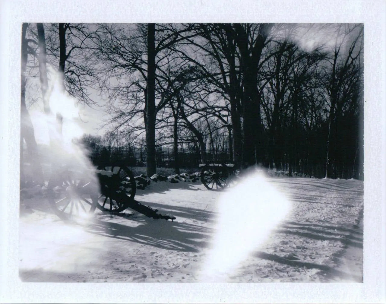 Polaroid 104 Automatic – Vintage Folding Packfilm Camera – analogue camera gallery view 8 of 9