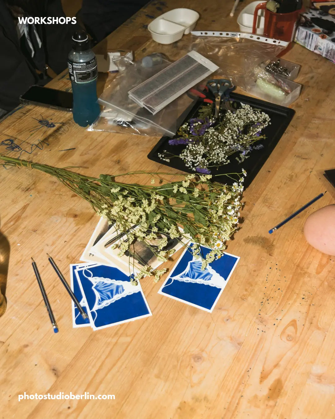 1:1 Cyanotype Workshop – Learn the Complete Blue Print Process Berlin Photo Studio