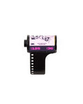 ECN-2 F*ck Off 125T – 135/36 (Kodak Vision3 500T Repackaged) - Photo Studio Berlin