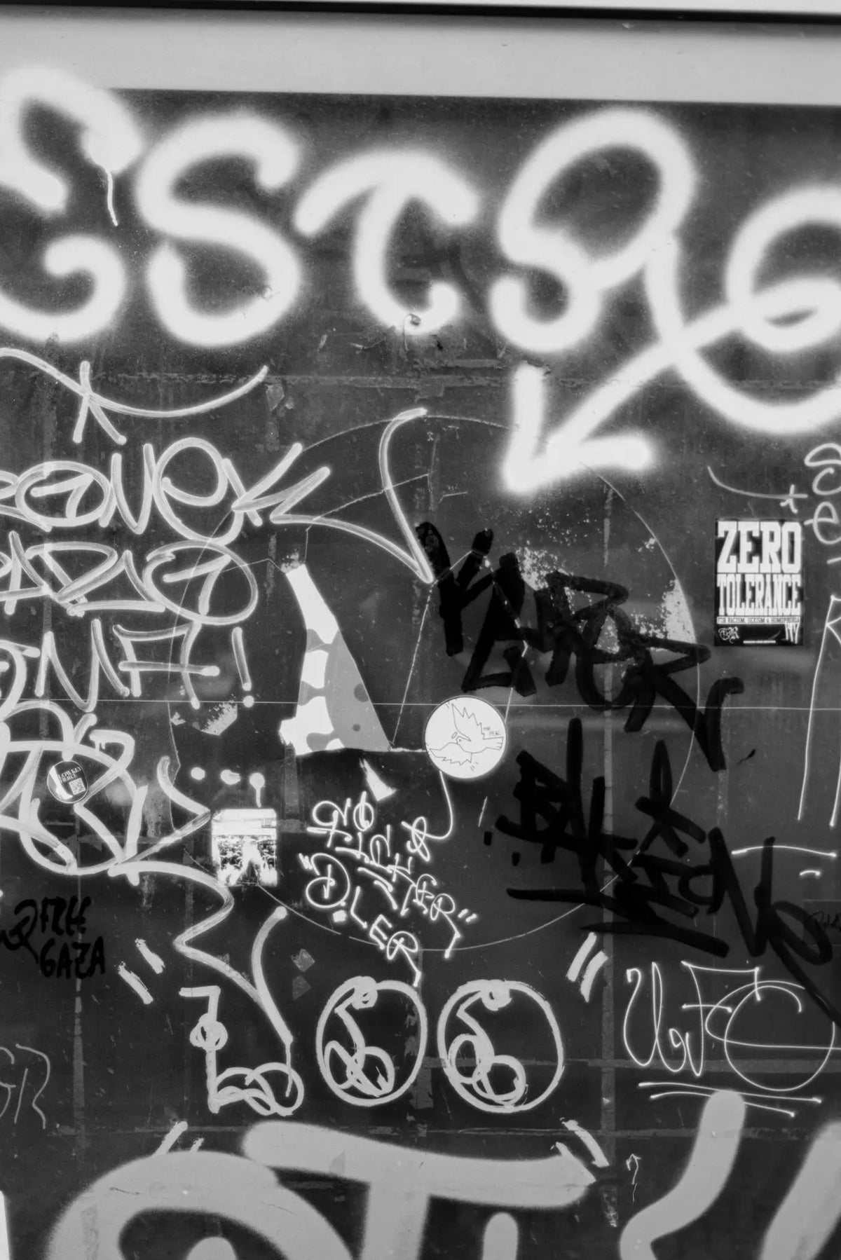 BW / Daido 6 ISO - 135/36 Photo Studio Berlin