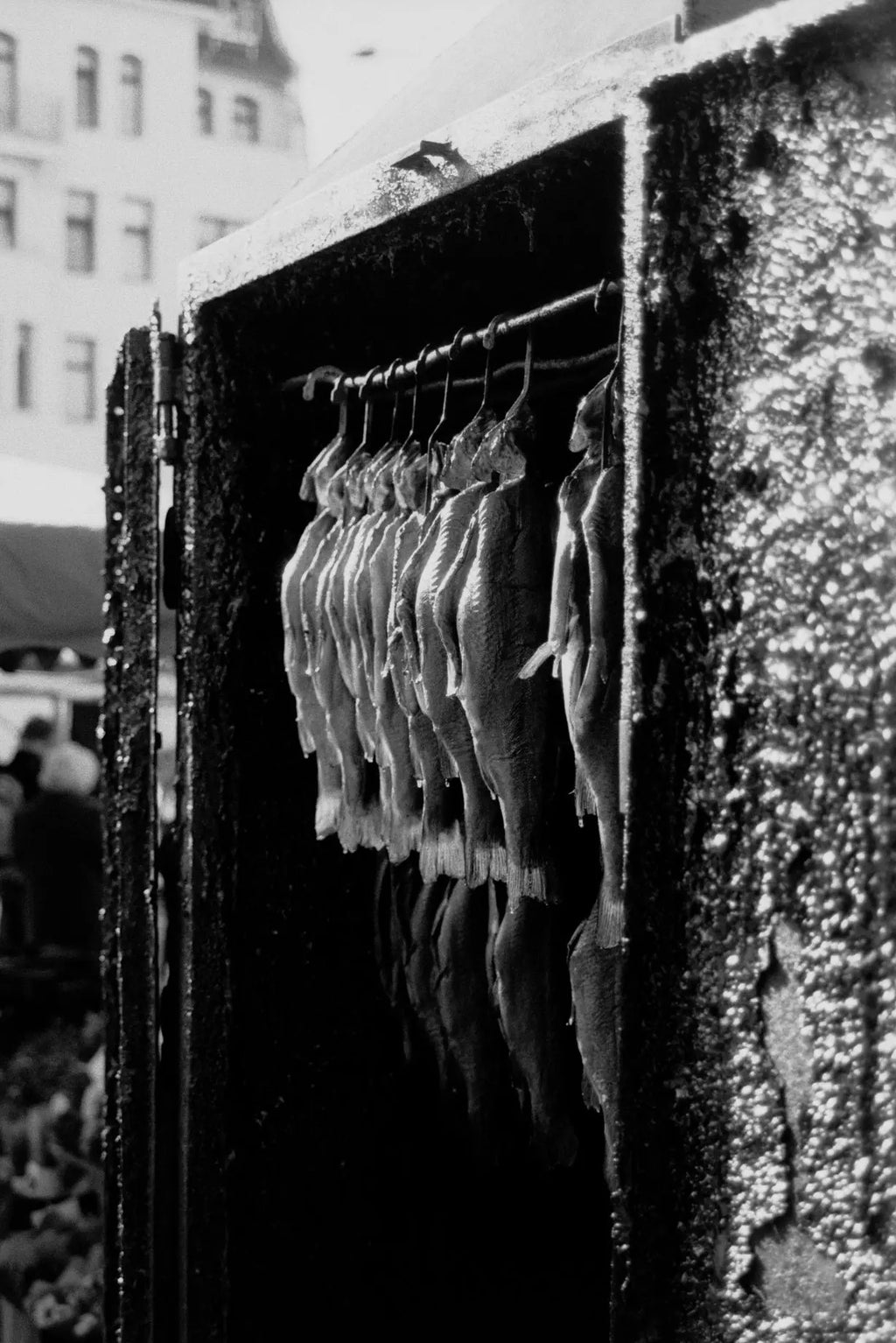 BW / Triple-X 500H - 135/36 - Photo Studio Berlin