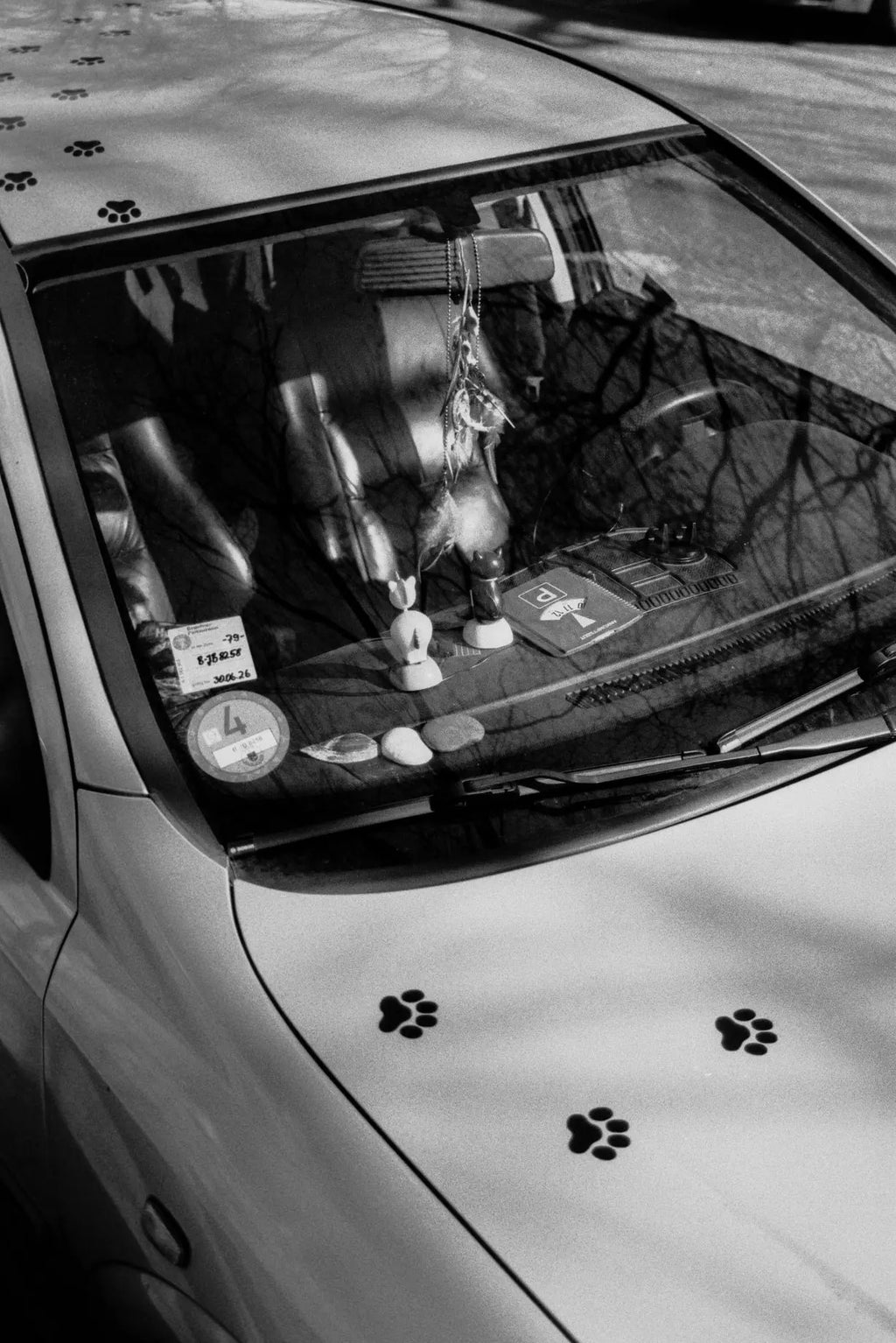 BW / Triple-X 500H - 135/36 - Photo Studio Berlin
