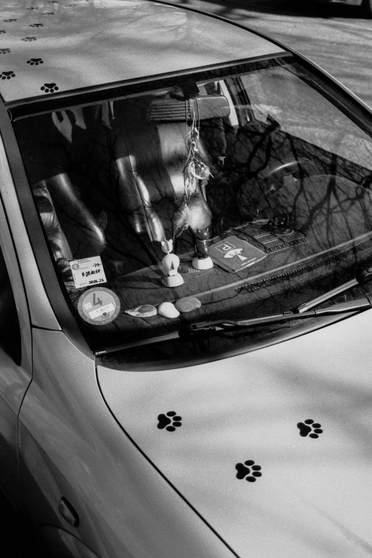 BW / Triple-X 500H - 135/36 - Photo Studio Berlin