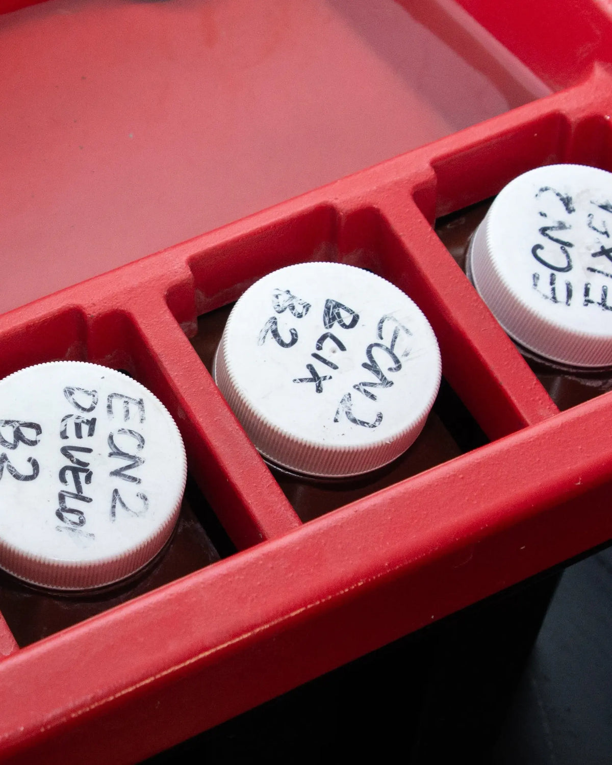 Labelled ECN-2 chemistry bottles in the processing bath at Berlin Photo Studio