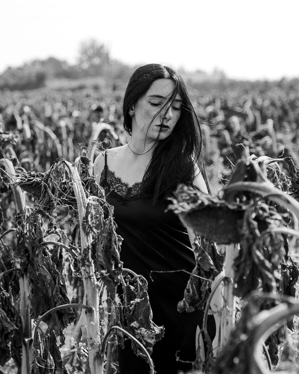 Black and white dancer portrait in a sunflower field in Berlin