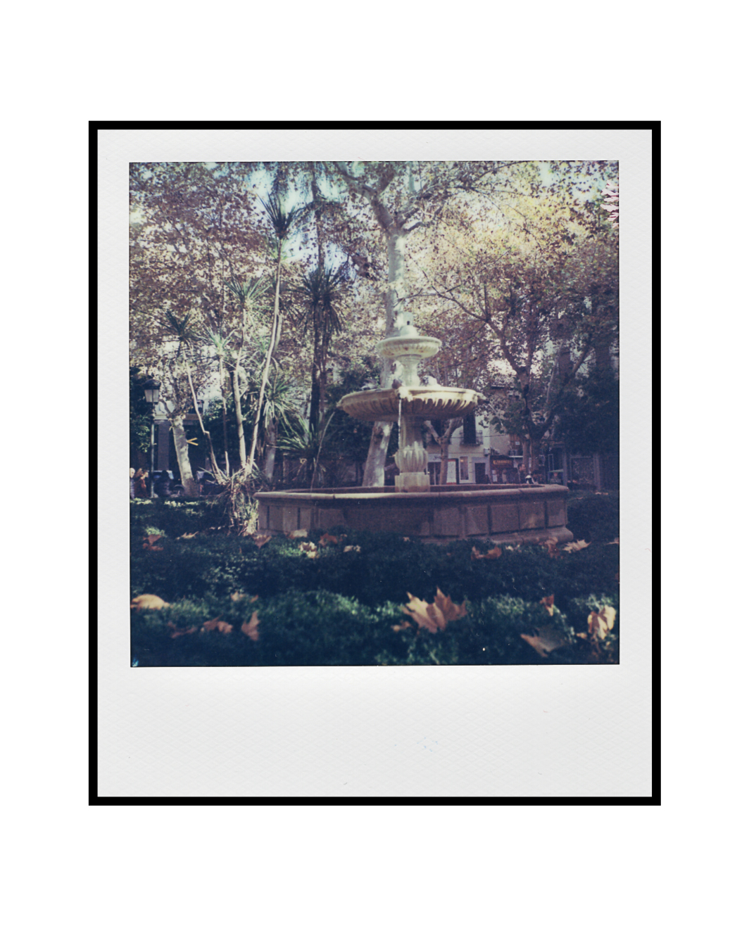 Polaroid 600 Color-4